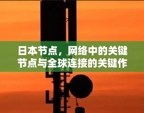 日本节点,网络中的关键节点与全球连接的关键作用 日本节点,网络中的关键节点与全球连接的关键作用