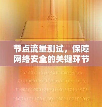 节点流量测试,保障网络安全的关键环节 节点流量测试,保障网络安全的关键环节