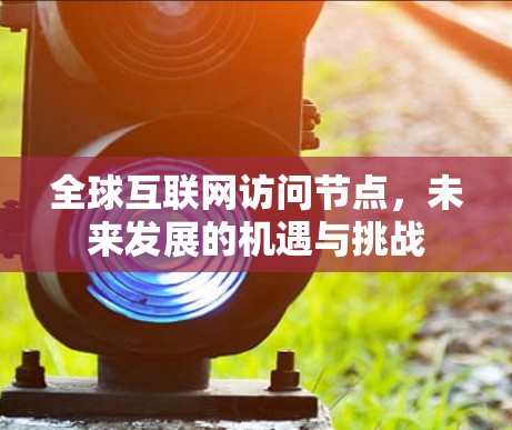 全球互联网访问节点,未来发展的机遇与挑战 全球互联网访问节点,未来发展的机遇与挑战