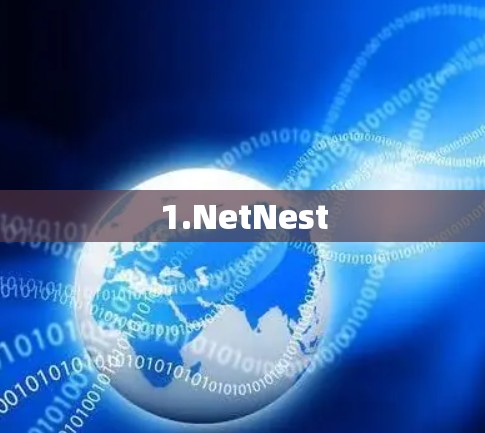 1.NetNest 1.NetNest