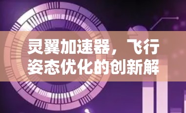 灵翼加速器,飞行姿态优化的创新解决方案 灵翼加速器,飞行姿态优化的创新解决方案
