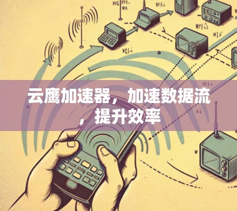 云鹰加速器,加速数据流,提升效率 云鹰加速器,加速数据流,提升效率