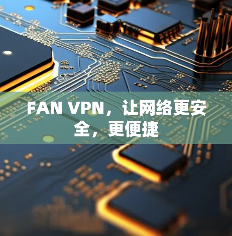 FAN VPN,让网络更安全,更便捷 FAN VPN,让网络更安全,更便捷