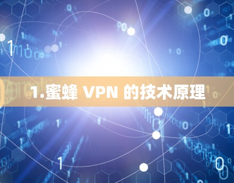 1.蜜蜂 VPN 的技术原理 1.蜜蜂 VPN 的技术原理
