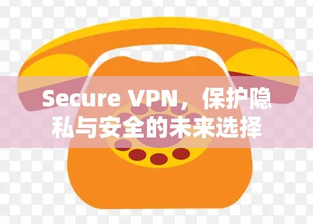Secure VPN,保护隐私与安全的未来选择 Secure VPN,保护隐私与安全的未来选择
