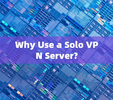 Why Use a Solo VPN Server? Why Use a Solo VPN Server?