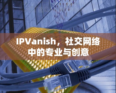 IPVanish,社交网络中的专业与创意 IPVanish,社交网络中的专业与创意