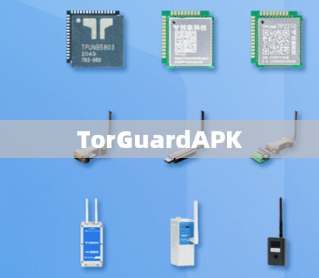 TorGuardAPK