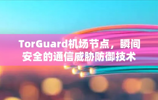 TorGuard机场节点,瞬间安全的通信威胁防御技术 TorGuard机场节点,瞬间安全的通信威胁防御技术