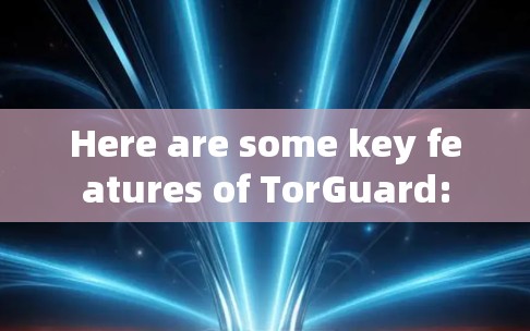 Here are some key features of TorGuard: Here are some key features of TorGuard:
