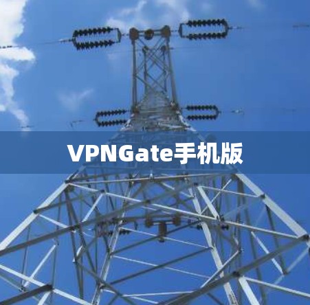 VPNGate手机版 VPNGate手机版