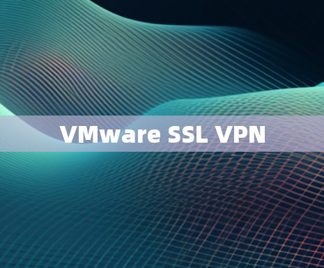 VMware SSL VPN VMware SSL VPN