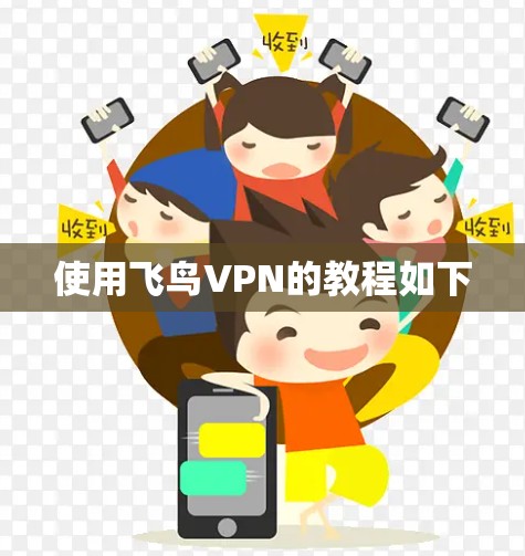 使用飞鸟VPN的教程如下 使用飞鸟VPN的教程如下