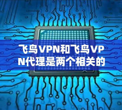 飞鸟VPN和飞鸟VPN代理是两个相关的VPN服务工具,它们在功能、价格、安全性和使用方式上有所不同。以下是它们的区别和选择依据 飞鸟VPN和飞鸟VPN代理是两个相关的VPN服务工具,它们在功能、价格、安全性和使用方式上有所不同。以下是它们的区别和选择依据
