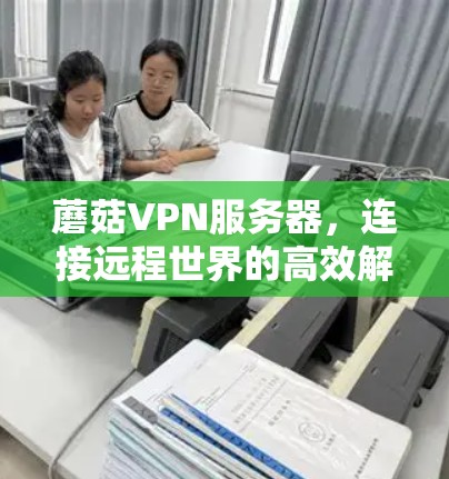 蘑菇VPN服务器,连接远程世界的高效解决方案 蘑菇VPN服务器,连接远程世界的高效解决方案