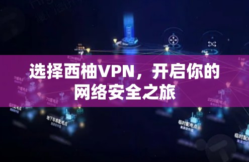 选择西柚VPN,开启你的网络安全之旅 选择西柚VPN,开启你的网络安全之旅