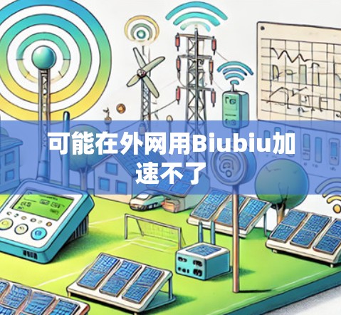 可能在外网用Biubiu加速不了 可能在外网用Biubiu加速不了
