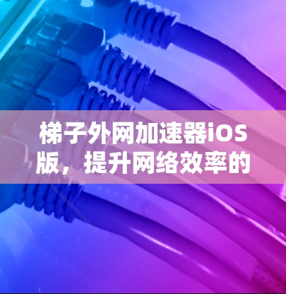 梯子外网加速器iOS版,提升网络效率的实用工具 梯子外网加速器iOS版,提升网络效率的实用工具