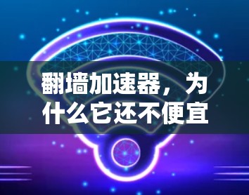 翻墙加速器,为什么它还不便宜?你的投资机会在哪里? 翻墙加速器,为什么它还不便宜?你的投资机会在哪里?
