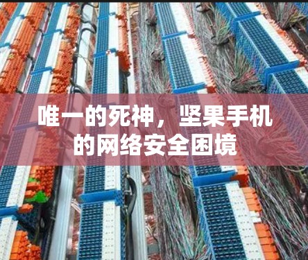唯一的死神,坚果手机的网络安全困境 唯一的死神,坚果手机的网络安全困境