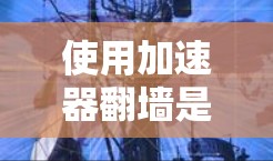 使用加速器翻墙是一个复杂但可行的过程,但需要考虑安全、配置和使用步骤等方面。以下是一步步的建议,帮助您使用加速器翻墙 使用加速器翻墙是一个复杂但可行的过程,但需要考虑安全、配置和使用步骤等方面。以下是一步步的建议,帮助您使用加速器翻墙