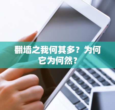 翻墙之我何其多?为何它为何然? 翻墙之我何其多?为何它为何然?