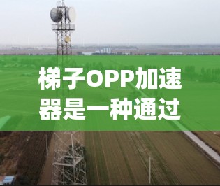 梯子OPP加速器是一种通过设置软件来优化梯子运行速度的工具。它通常由OPP(OptiP)公司提供,主要用于提升梯子的性能。以下是关于OPP加速器的详细步骤及使用说明 梯子OPP加速器是一种通过设置软件来优化梯子运行速度的工具。它通常由OPP(OptiP)公司提供,主要用于提升梯子的性能。以下是关于OPP加速器的详细步骤及使用说明