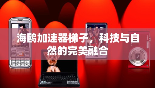 海鸥加速器梯子，科技与自然的完美融合