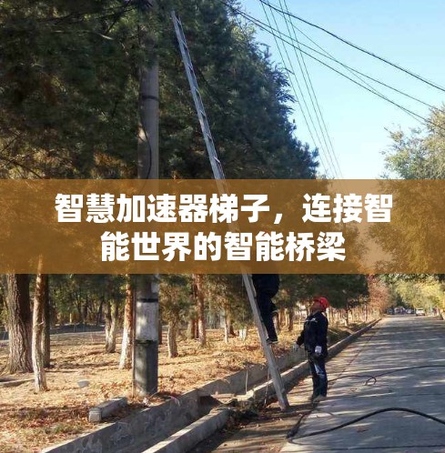 智慧加速器梯子,连接智能世界的智能桥梁 智慧加速器梯子,连接智能世界的智能桥梁