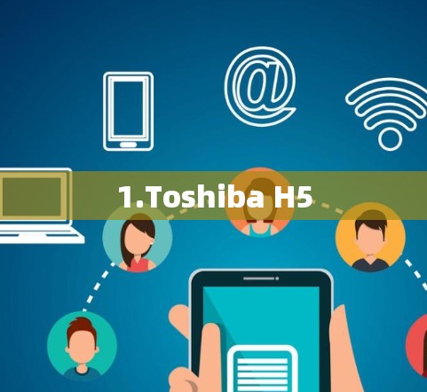 1.Toshiba H5 1.Toshiba H5