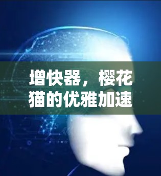 增快器,樱花猫的优雅加速 增快器,樱花猫的优雅加速