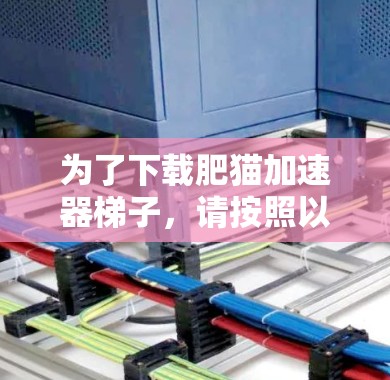 为了下载肥猫加速器梯子,请按照以下步骤操作 为了下载肥猫加速器梯子,请按照以下步骤操作