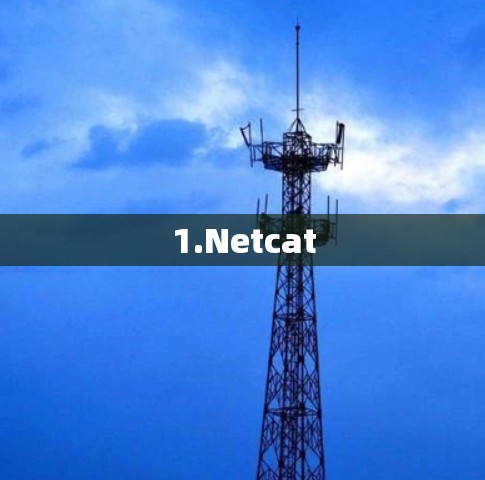 1.Netcat 1.Netcat