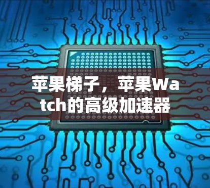 苹果梯子,苹果Watch的高级加速器 苹果梯子,苹果Watch的高级加速器