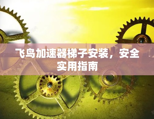 飞鸟加速器梯子安装,安全实用指南 飞鸟加速器梯子安装,安全实用指南