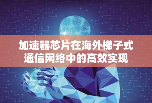 加速器芯片在海外梯子式通信网络中的高效实现 加速器芯片在海外梯子式通信网络中的高效实现