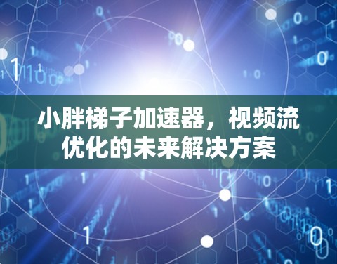 小胖梯子加速器,视频流优化的未来解决方案 小胖梯子加速器,视频流优化的未来解决方案
