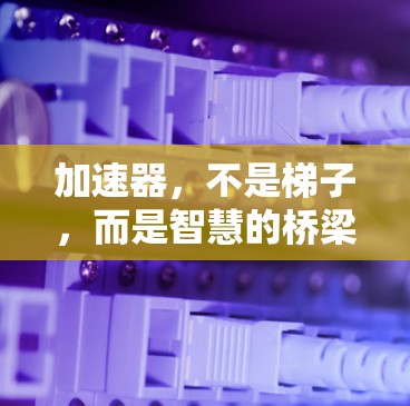 加速器,不是梯子,而是智慧的桥梁 加速器,不是梯子,而是智慧的桥梁