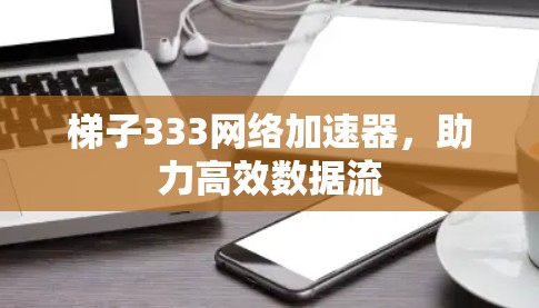 梯子333网络加速器,助力高效数据流 梯子333网络加速器,助力高效数据流