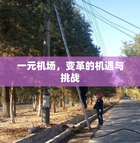 一元机场,变革的机遇与挑战 一元机场,变革的机遇与挑战
