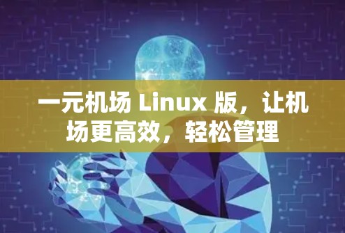 一元机场 Linux 版,让机场更高效,轻松管理 一元机场 Linux 版,让机场更高效,轻松管理