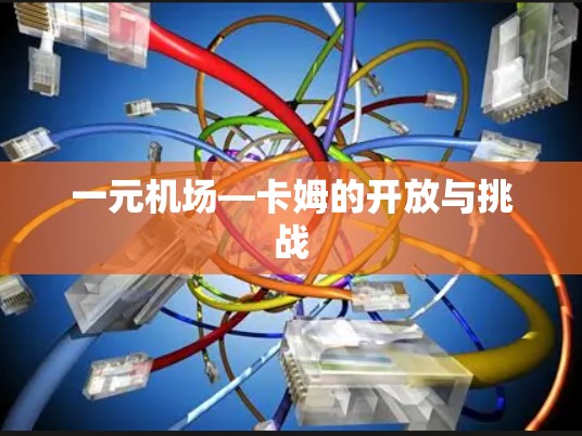 一元机场—卡姆的开放与挑战 一元机场—卡姆的开放与挑战