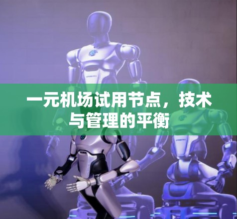 一元机场试用节点,技术与管理的平衡 一元机场试用节点,技术与管理的平衡