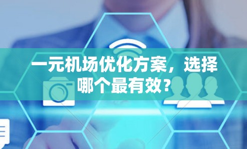 一元机场优化方案,选择哪个最有效? 一元机场优化方案,选择哪个最有效?