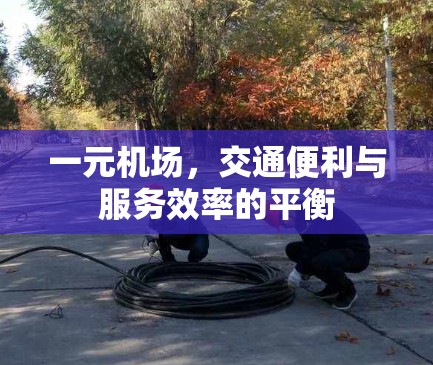 一元机场,交通便利与服务效率的平衡 一元机场,交通便利与服务效率的平衡