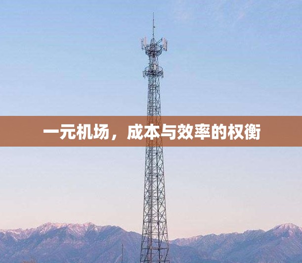 一元机场,成本与效率的权衡 一元机场,成本与效率的权衡