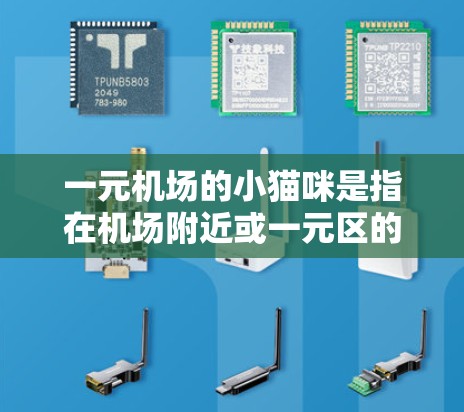 一元机场的小猫咪是指在机场附近或一元区的小型猫咪,通常指的是宠物猫或流浪猫。它们通常以小型猫咪为主,如公鸡、狗、兔子等。以下是一些关于一元机场小猫咪的一些信息 一元机场的小猫咪是指在机场附近或一元区的小型猫咪,通常指的是宠物猫或流浪猫。它们通常以小型猫咪为主,如公鸡、狗、兔子等。以下是一些关于一元机场小猫咪的一些信息