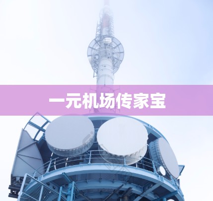 一元机场传家宝 一元机场传家宝