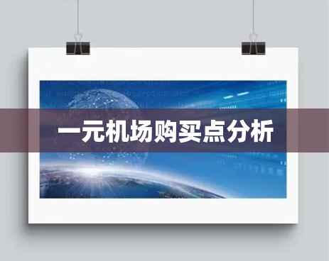 一元机场购买点分析 一元机场购买点分析