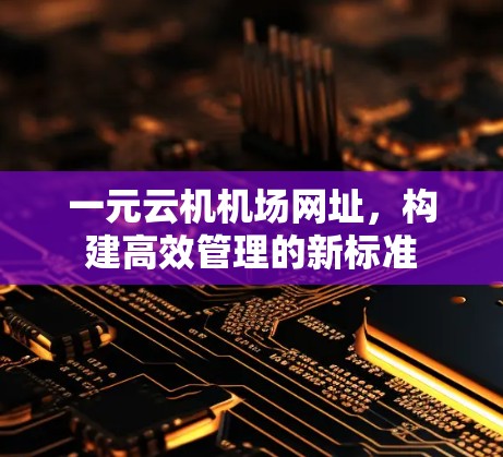一元云机机场网址,构建高效管理的新标准 一元云机机场网址,构建高效管理的新标准
